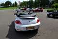 Volkswagen Beetle Cabriolet 1.2 TSI Club, Navi, Clima, Pdc V+A, LM 1 Wit - thumbnail 18