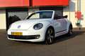 Volkswagen Beetle Cabriolet 1.2 TSI Club, Navi, Clima, Pdc V+A, LM 1 Wit - thumbnail 20