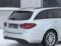 Mercedes-Benz Sonstige C 180 T d Panorama Kamera AHK LED - thumbnail 8
