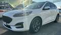 Ford Kuga 1.5 ecoblue ST-Line X 2wd 120cv auto Weiß - thumbnail 3