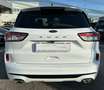 Ford Kuga 1.5 ecoblue ST-Line X 2wd 120cv auto Weiß - thumbnail 5