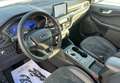Ford Kuga 1.5 ecoblue ST-Line X 2wd 120cv auto Weiß - thumbnail 10