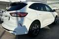Ford Kuga 1.5 ecoblue ST-Line X 2wd 120cv auto Weiß - thumbnail 6