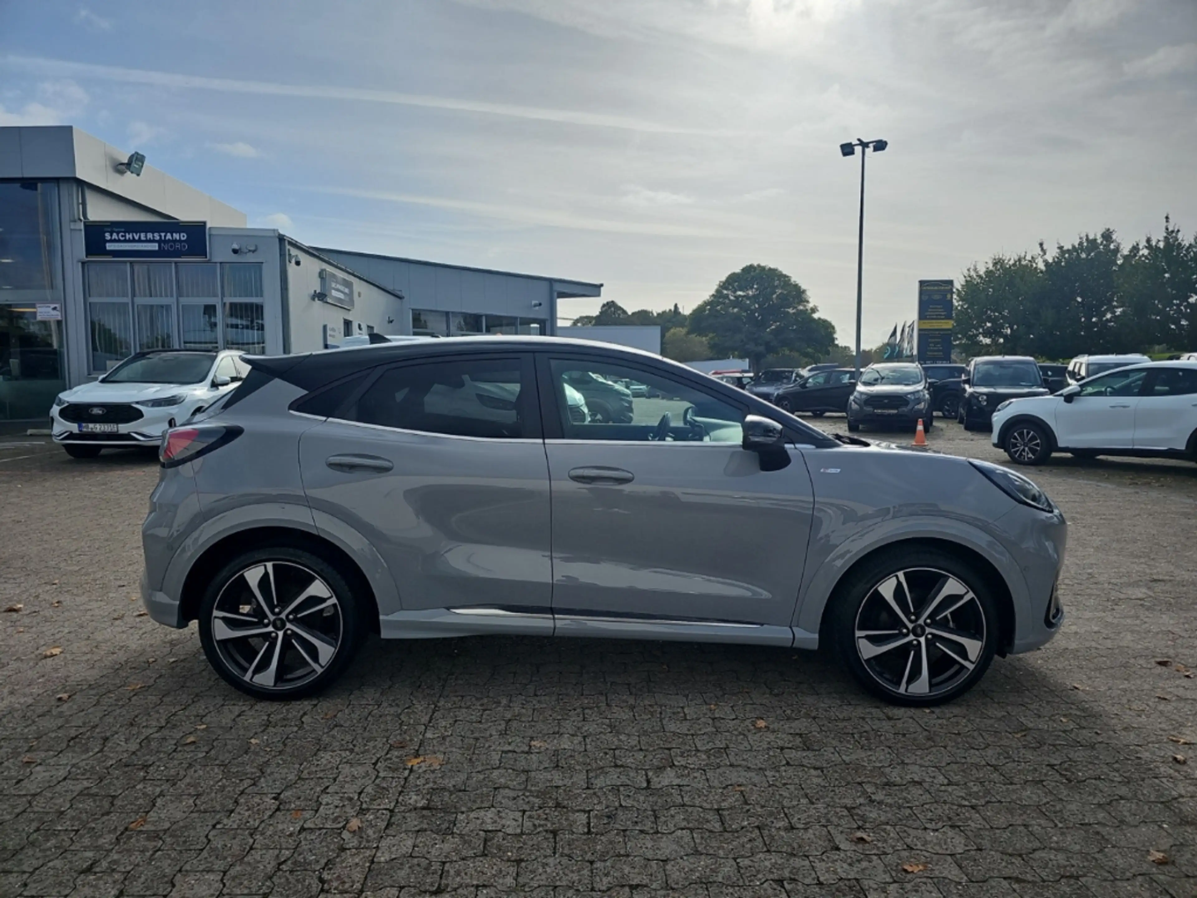 Ford Puma ST-Line Vignale 1.0 EcoBoost Mild Hybrid EU6d Spor — photo 6