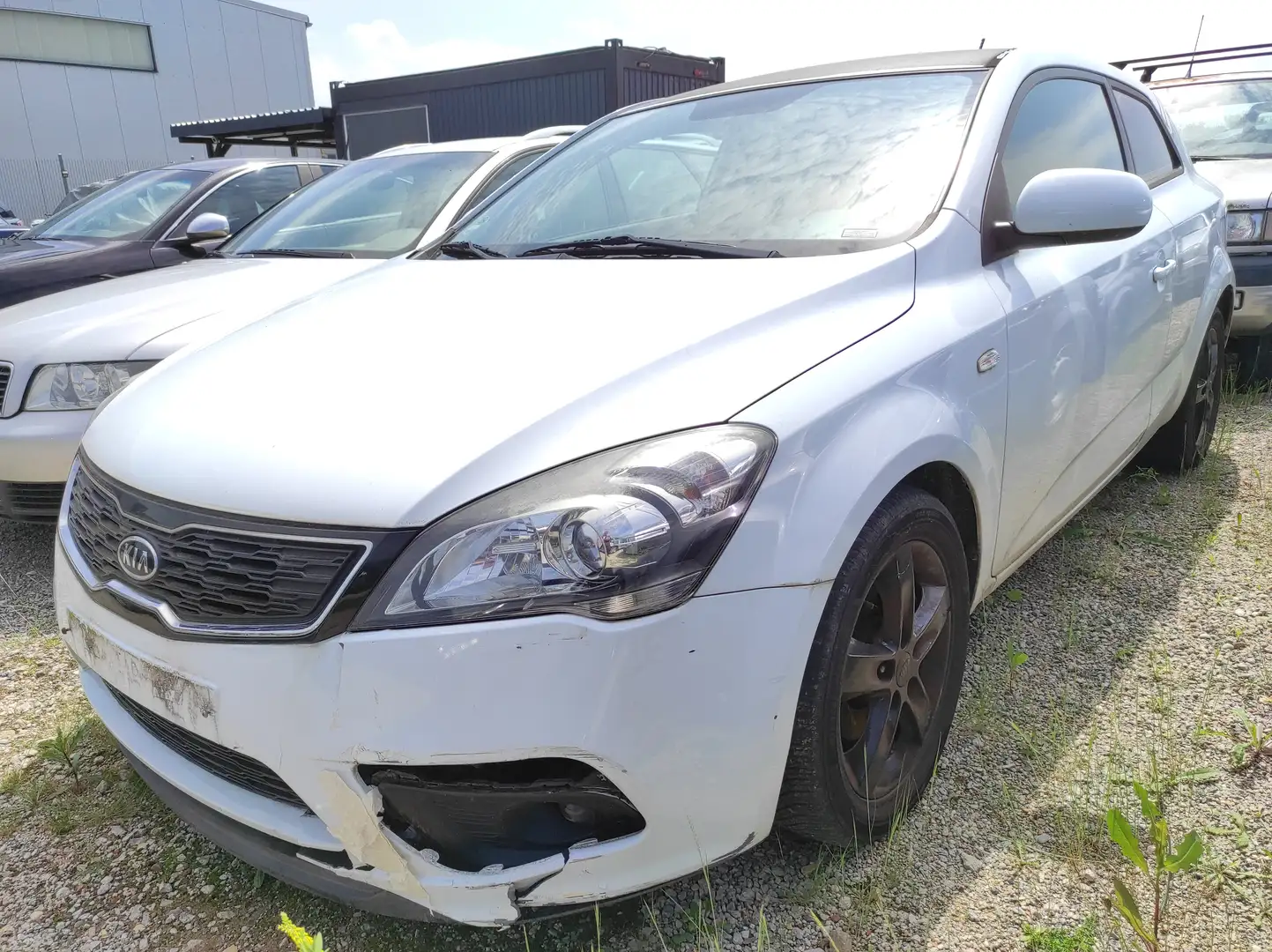 Kia ProCeed / pro_cee'd PRO Ceed 1.4 CVVT SPORT NAVI KLIMA SHZ ALLWETTER Bílá - 1
