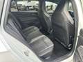 Volkswagen Golf Variant R-Line Navi Winterpaket Weiß - thumbnail 26