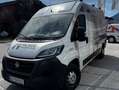 Fiat Ducato Ducato 33 L2H2 Kasten, Sofort verfügbar Weiß - thumbnail 1