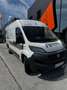 Fiat Ducato Ducato 33 L2H2 Kasten, Sofort verfügbar Weiß - thumbnail 2