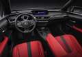 Lexus UX 250h Business Navigation 2WD Blau - thumbnail 12