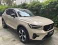 Volvo XC40 XC40 B3 2 WD Plus Dark Beige - thumbnail 2