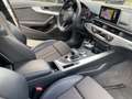Audi A4 Avant 50 TDI quattro sport LED Standhzg. RFK Gris - thumbnail 10