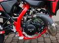 Beta RR 50 RR 50 Supermoto Sport LS | Nur 84 cm Sitzhöhe crna - thumbnail 5