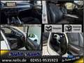 BMW X5 xDrive 30d M-Sport Navi-Prof R-Cam Alcantara Alb - thumbnail 29
