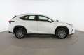 Lexus NX 300h Bussiness Blanco - thumbnail 6