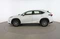 Lexus NX 300h Bussiness Blanco - thumbnail 2