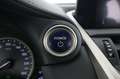 Lexus NX 300h Bussiness Blanco - thumbnail 22