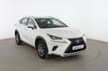 Lexus NX 300h Bussiness Blanco - thumbnail 7