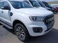 Ford Ranger Ranger 2.0 TDCi Doppelkabine 4x4 Wildtrak Weiß - thumbnail 6