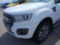 Ford Ranger Ranger 2.0 TDCi Doppelkabine 4x4 Wildtrak Weiß - thumbnail 2
