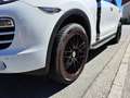 Porsche Cayenne Cayenne II Platinum Edition 3,0 Diesel Aut. Weiß - thumbnail 12