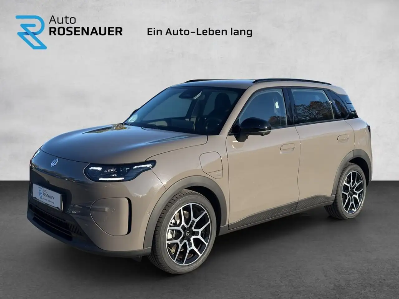 Leapmotor B03X