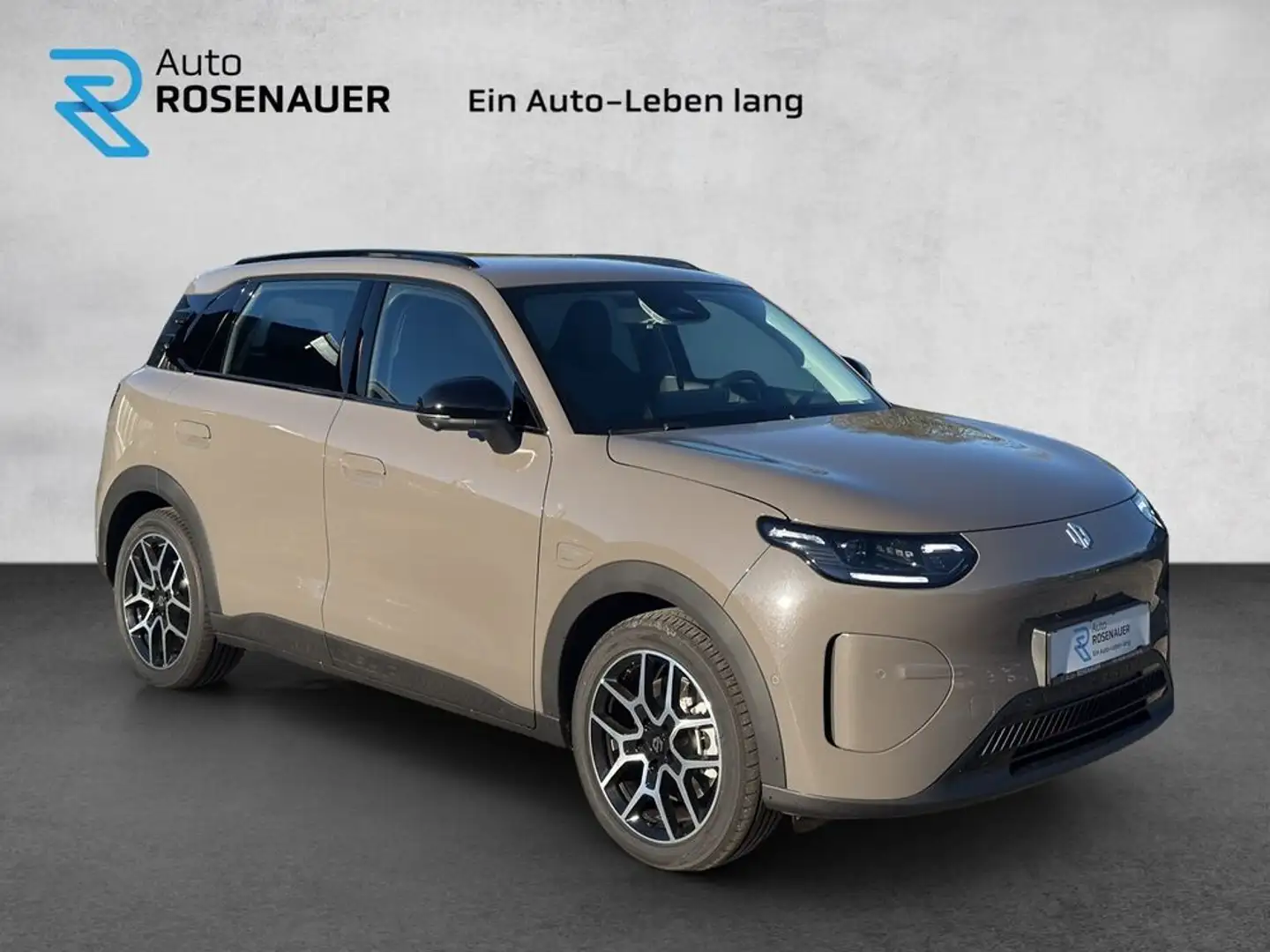 Leapmotor B03X B03X BEV Design ProMax 53,0kWh Braun - 2