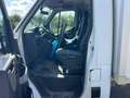 Renault Master 23dCi 35 L4 - CARGO, Blanc - thumbnail 11