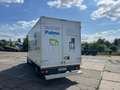 Renault Master 23dCi 35 L4 - CARGO, Blanc - thumbnail 5