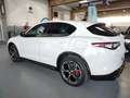 Alfa Romeo Stelvio 2.2 Td 210 CV Q4 Veloce PROMO Weiß - thumbnail 7