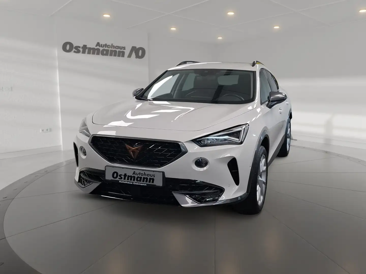 CUPRA Formentor 1.5 TSI LED ACC Navi LM Climatr. Weiß - 1