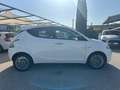 Lancia Ypsilon Ypsilon 1.2 69 CV 5 porte GPL Ecochic Silver Bianco - thumbnail 2