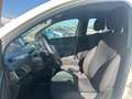 Lancia Ypsilon Ypsilon 1.2 69 CV 5 porte GPL Ecochic Silver Bianco - thumbnail 12
