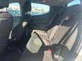 Lancia Ypsilon Ypsilon 1.2 69 CV 5 porte GPL Ecochic Silver Bianco - thumbnail 10