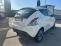 Lancia Ypsilon Ypsilon 1.2 69 CV 5 porte GPL Ecochic Silver Bianco - thumbnail 3