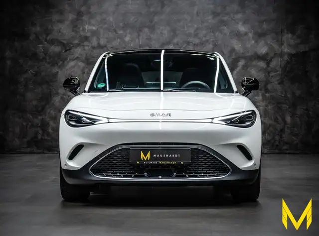 Smart #3 view 2