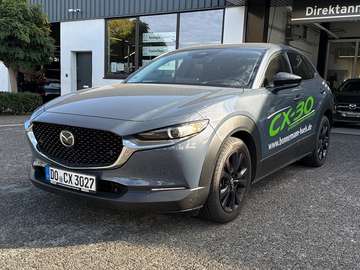 2.5 M HYBRID Homura *Klimaautomatik*Sitzheizung*