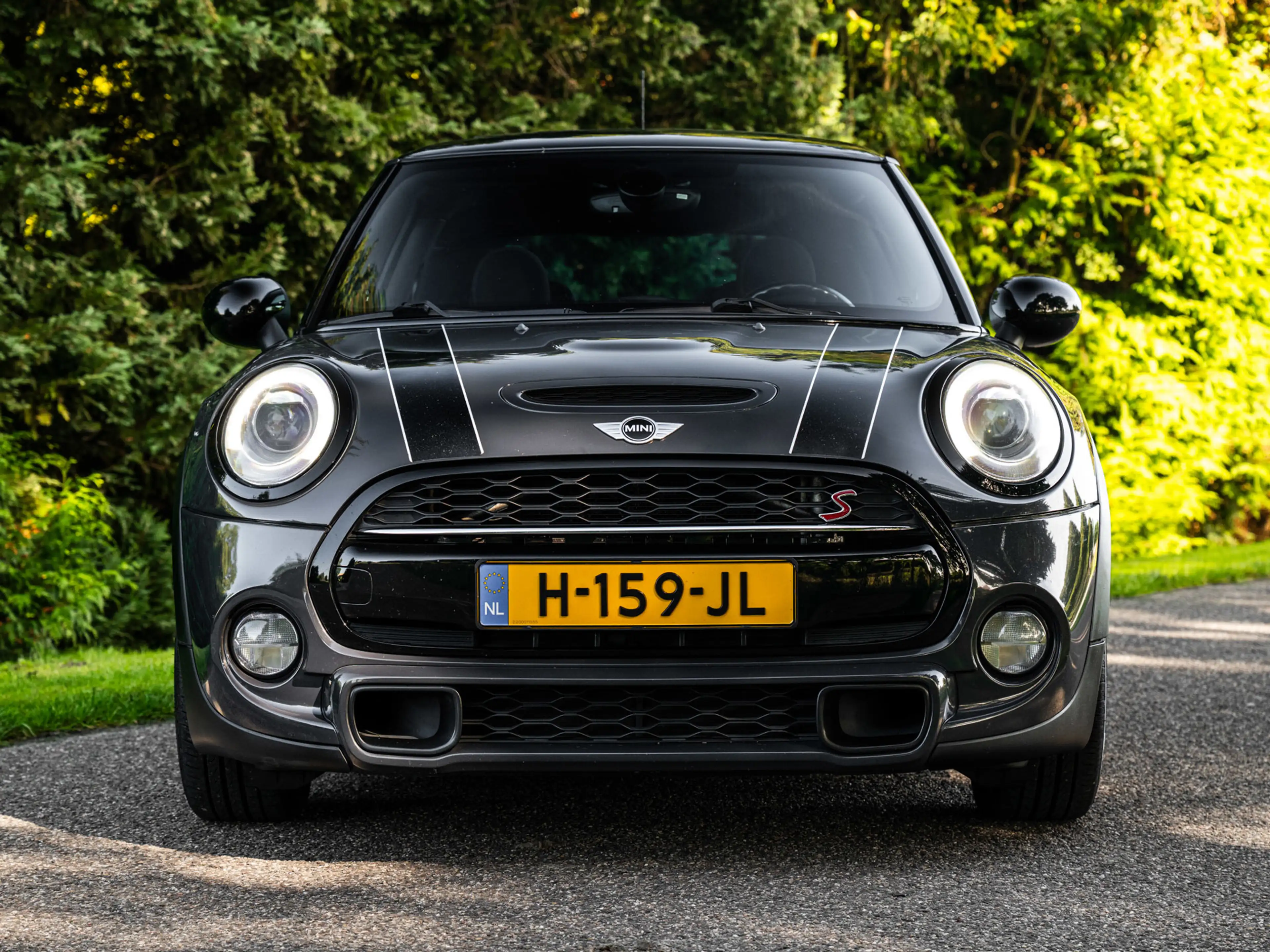 MINI Cooper S 3-Deurs 2.0 | Automaat| H&K | Pano — photo 3