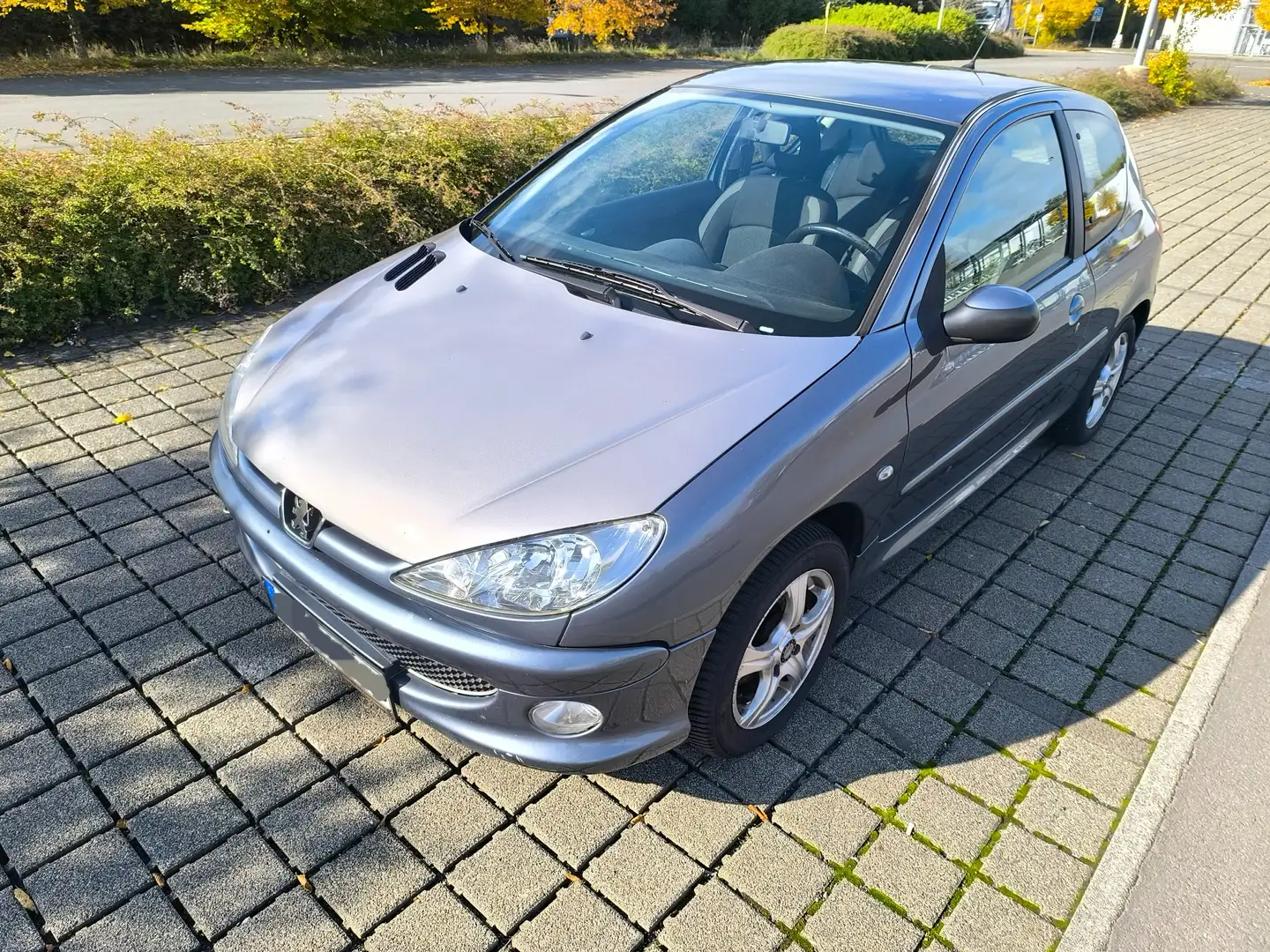 Peugeot 206 206 Grau - 2