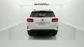 Citroen C5 Aircross PureTech S&S C-Series EAT8 130 Bianco - thumbnail 12