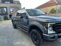 Ford F 250 Tremor Super Duty 7.3L godzilla LPG B RIJBEWIJS! Grau - thumbnail 3