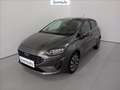 Ford Fiesta 5p 1.1 titanium gpl 75cv Gris - thumbnail 1
