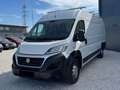 Fiat Ducato Maxi Grossr.-Kasten, L5H2 *extralang Weiß - thumbnail 3