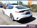 Kia Stinger 2.2 CRDi 200 Aut. GT-Line cuir GPS Weiß - thumbnail 4