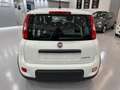 Fiat Panda 1.0 FireFly S&S Hybrid Blanco - thumbnail 5