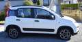 Fiat Panda III 2021 1.2 easypower City Life Gpl Bianco - thumbnail 4