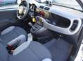 Fiat Panda III 2021 1.2 easypower City Life Gpl Bianco - thumbnail 7
