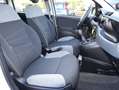 Fiat Panda III 2021 1.2 easypower City Life Gpl Bianco - thumbnail 8