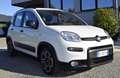 Fiat Panda III 2021 1.2 easypower City Life Gpl Bianco - thumbnail 3