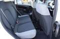 Fiat Panda III 2021 1.2 easypower City Life Gpl Bianco - thumbnail 9