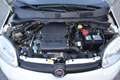 Fiat Panda III 2021 1.2 easypower City Life Gpl Bianco - thumbnail 15